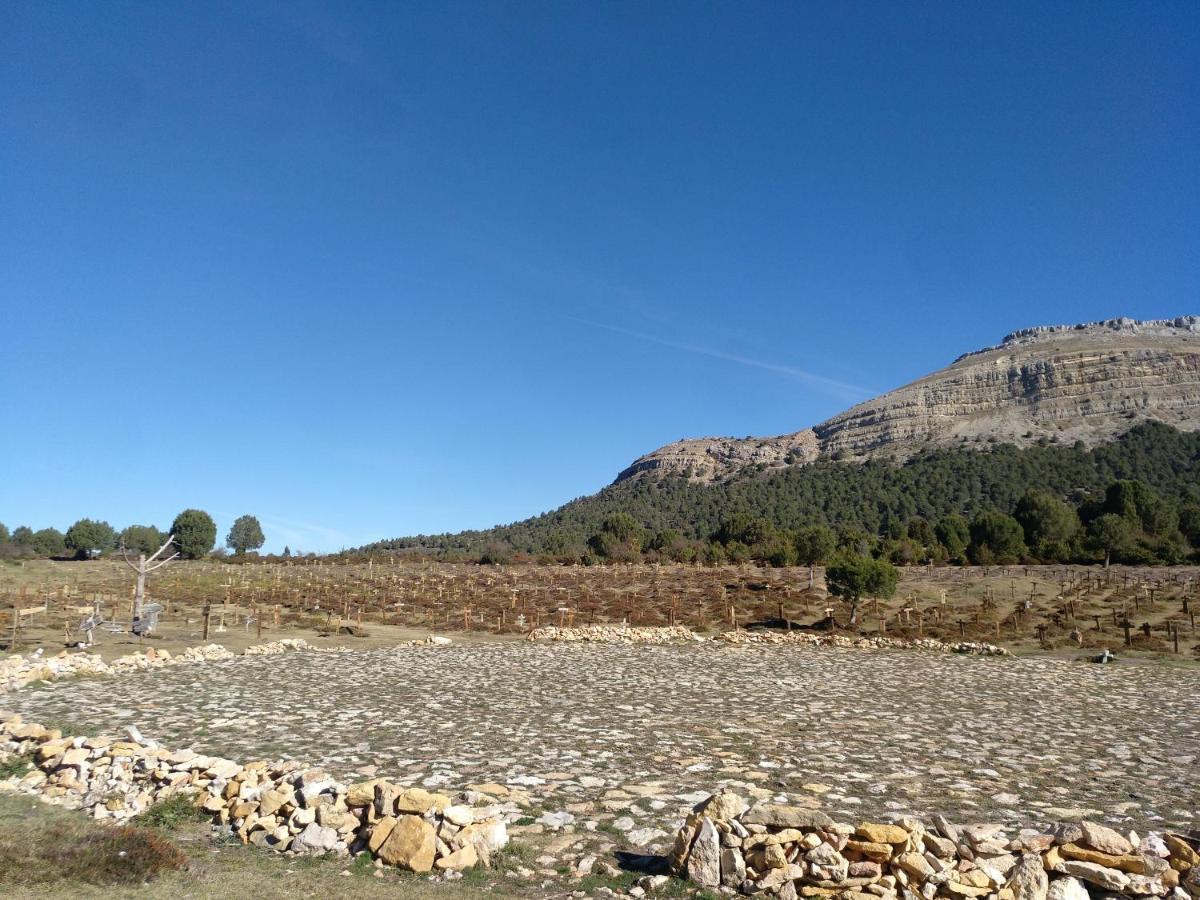 El Nido Del Mirlo Villa Casarejos Dış mekan fotoğraf