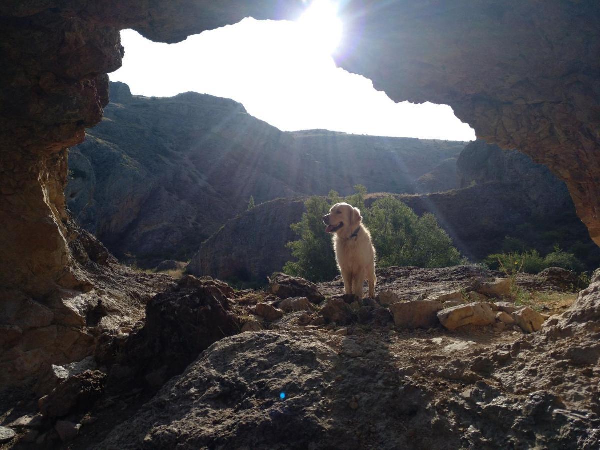 El Nido Del Mirlo Villa Casarejos Dış mekan fotoğraf